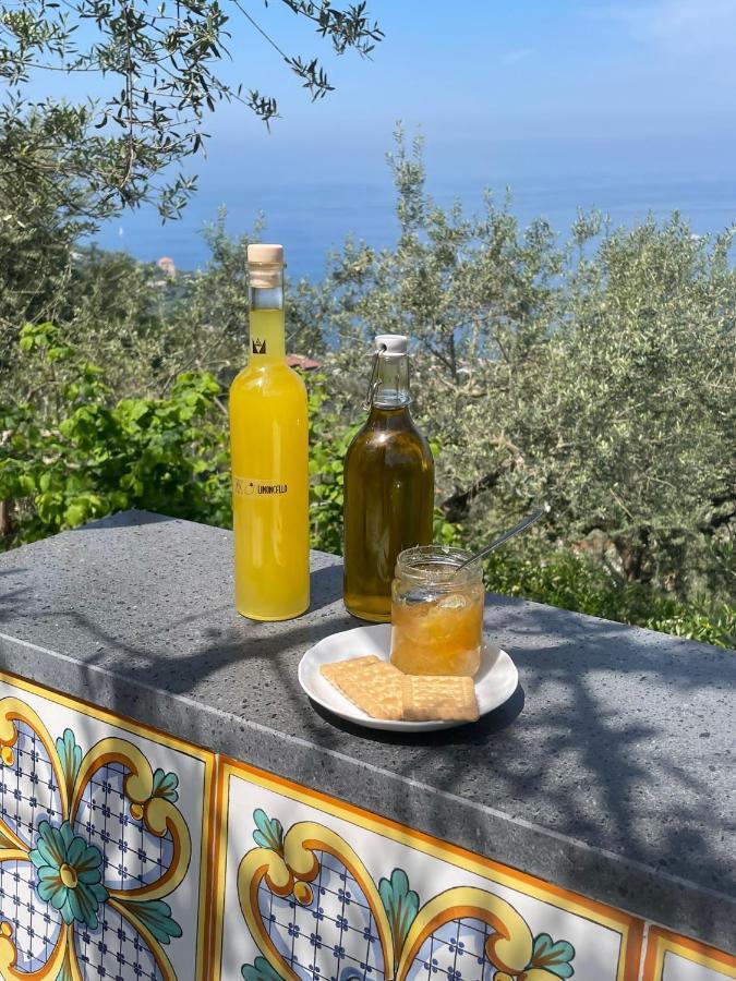 Bed & Breakfast Antonio Massa Lubrense